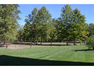 Property photo 65 - 80 +/- Acres Offered in 6 Tracts - Spectacular Farm & Home